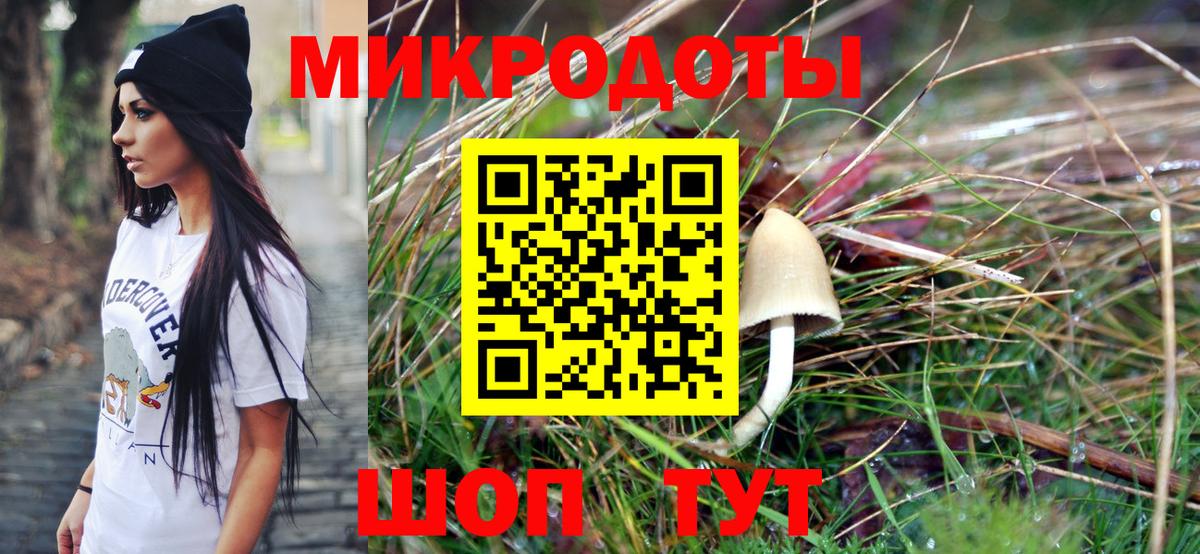 Псилоцибиновые грибы мицелий Шатура